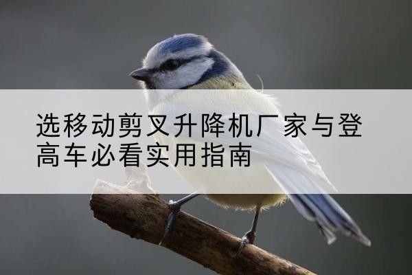 太仆寺旗电动升降机厂家-选移动剪叉升降机厂家与登高车必看实用指南
