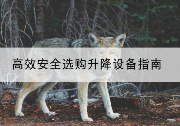太仆寺旗升降货梯厂家推荐-*安全选购升降设备指南